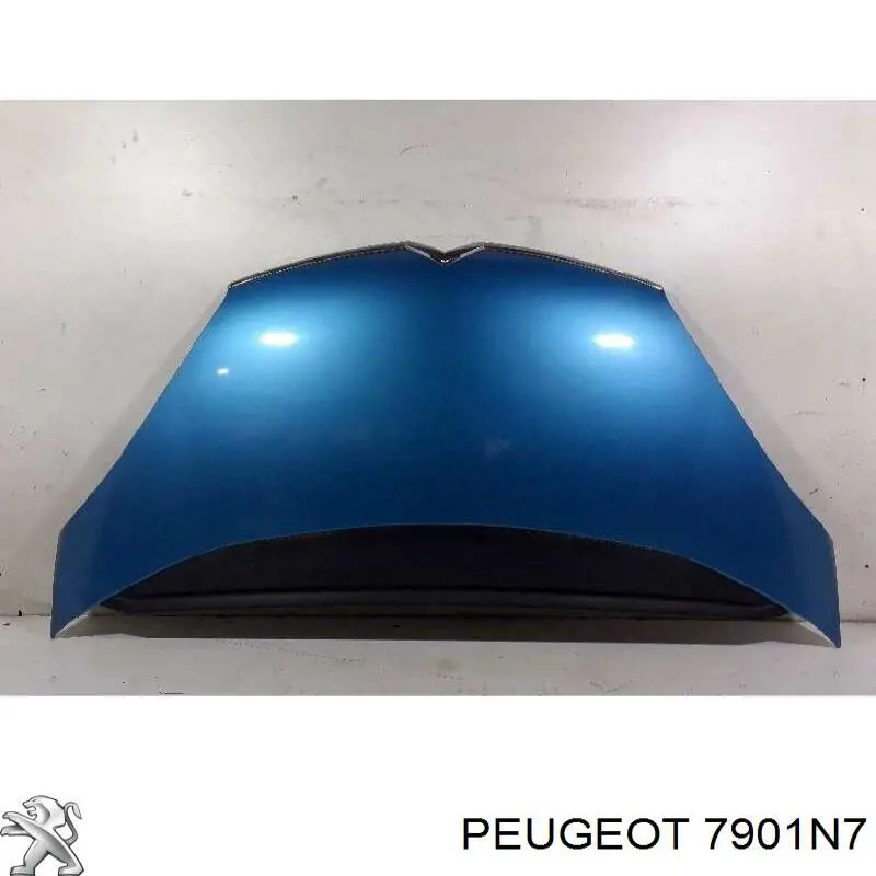 7901N7 Peugeot/Citroen Maska silnika
