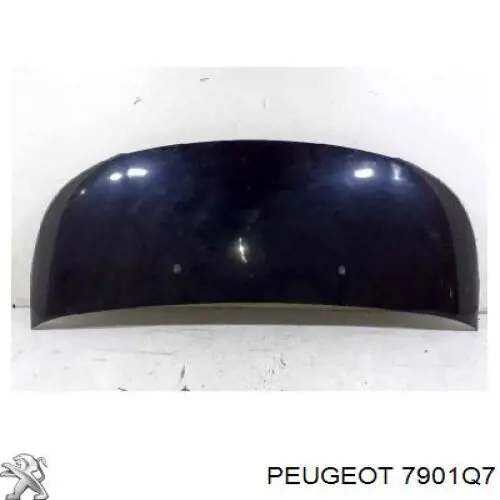 7901Q7 Peugeot/Citroen Maska silnika