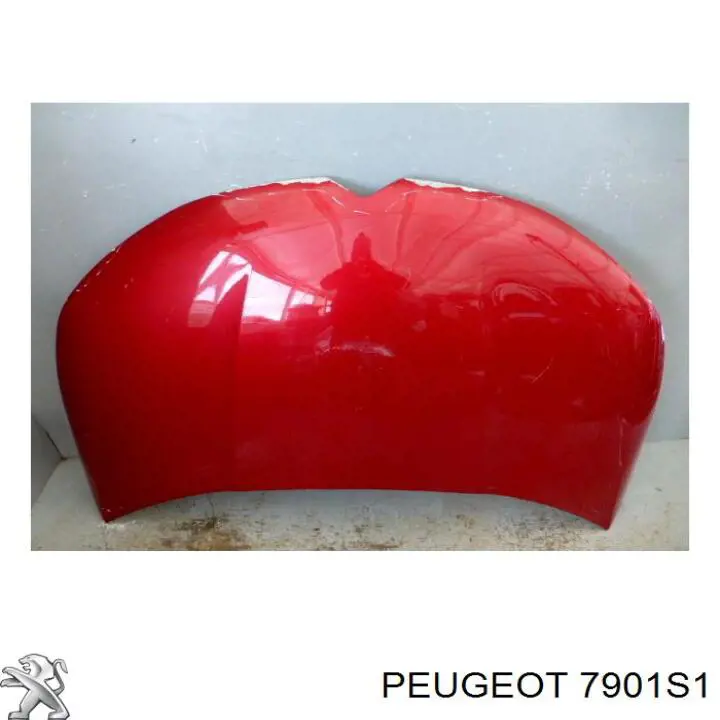 Maska silnika Peugeot/Citroen 7901S1 cena, od 227,81 USD