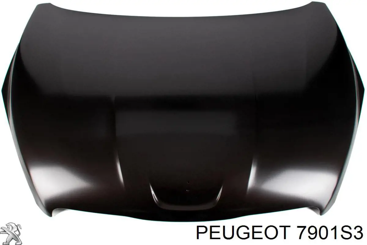 Maska silnika Peugeot/Citroen 7901S3 cena, od 532,90 USD