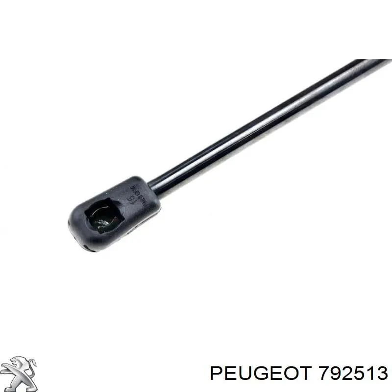 792513 Peugeot/Citroen Amortyzator maski