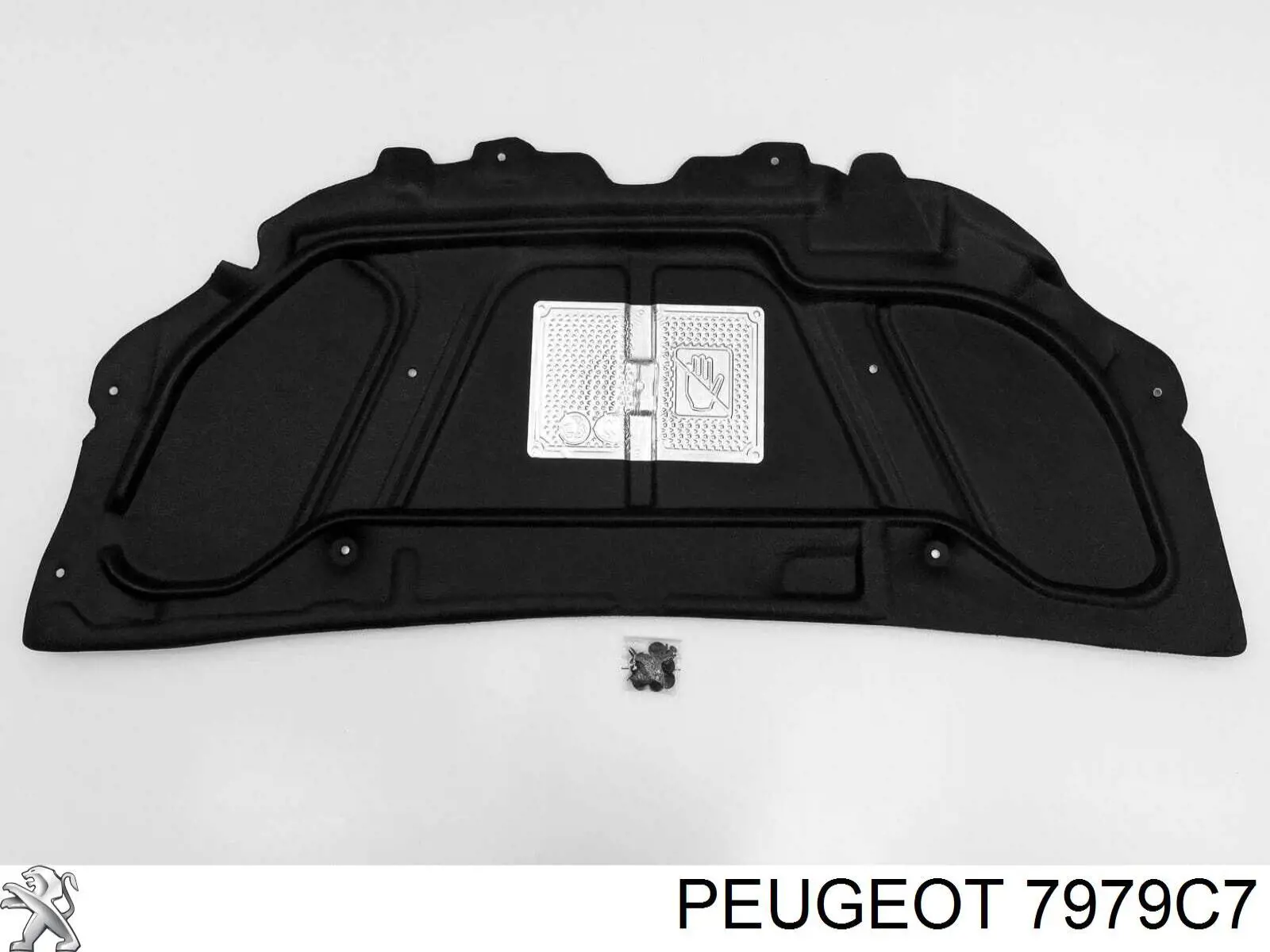 Wygluszenie maski Peugeot 307 hatchback (3A, 3C) (2000 - 2012) cena, od 140,07 USD