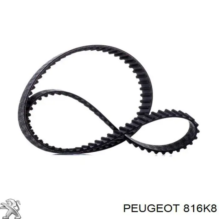 Do koszyka 816K8 Peugeot/Citroen Pasek rozrządu