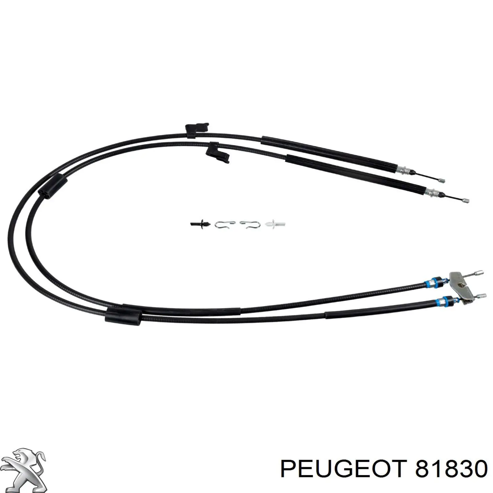 Prowadnica napinacza łańcucha rozrządu Peugeot/Citroen 81830 cena, od 7,14 USD