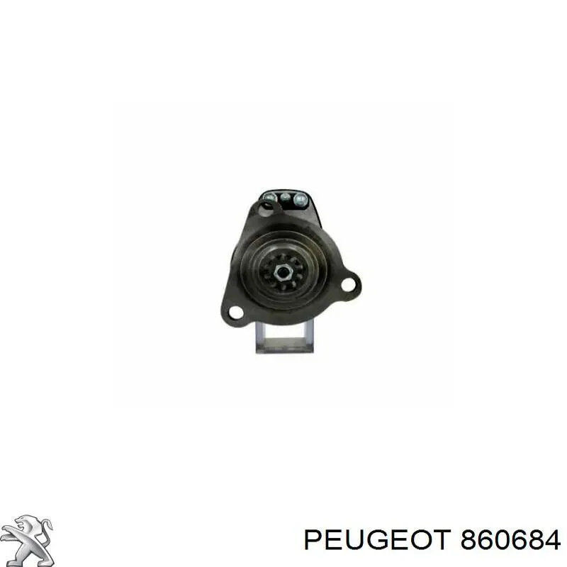 860684 Peugeot/Citroen Klapa bagażnika