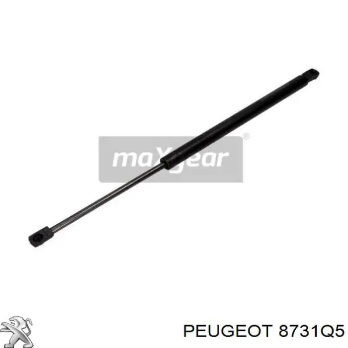 Amortyzator szyby bagażnika (3/5 drzwi tylnych) Peugeot/Citroen 8731Q5 cena, od 24,70 USD