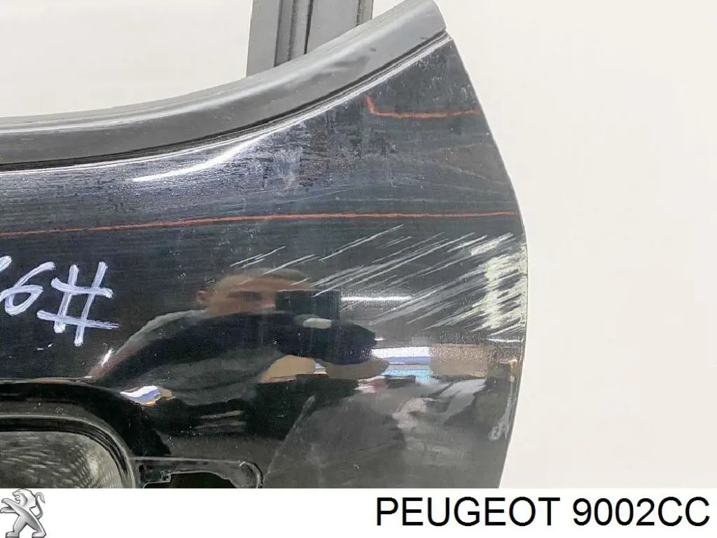 Drzwi tylne lewe do Citroen C3 II A51