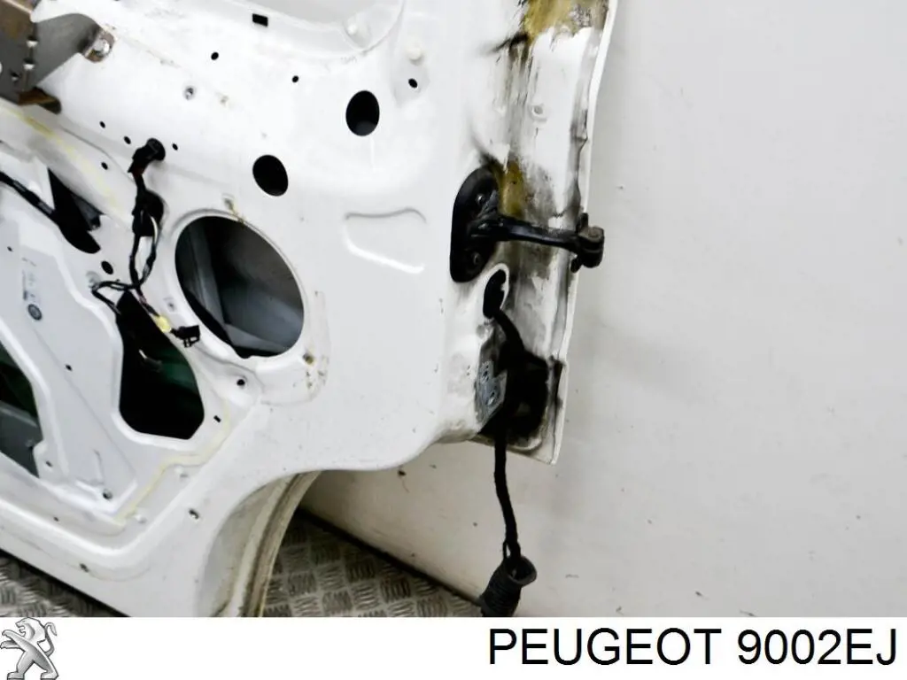 Drzwi przednie lewe do Fiat Ducato III 250