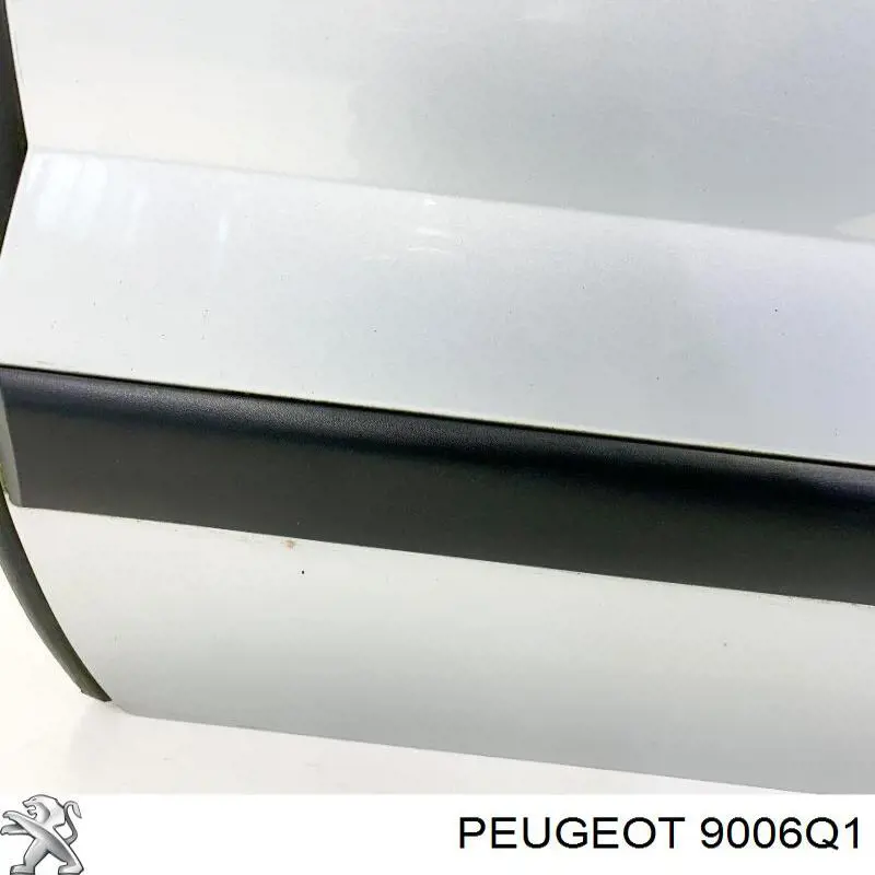 9006Q1 Peugeot/Citroen Drzwi tylne lewe