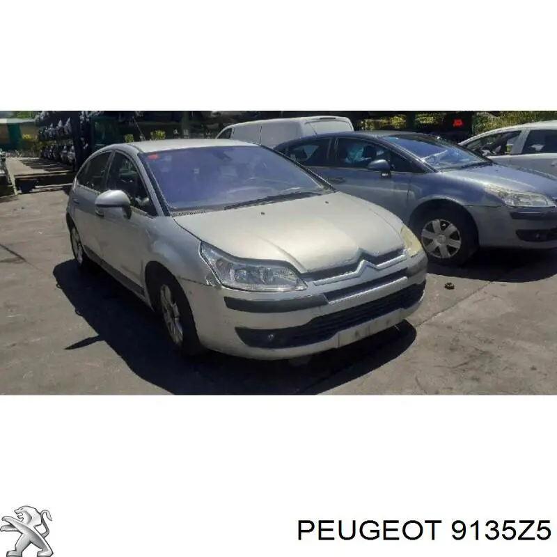 9135Z5 Peugeot/Citroen Zamek drzwi przednich lewych