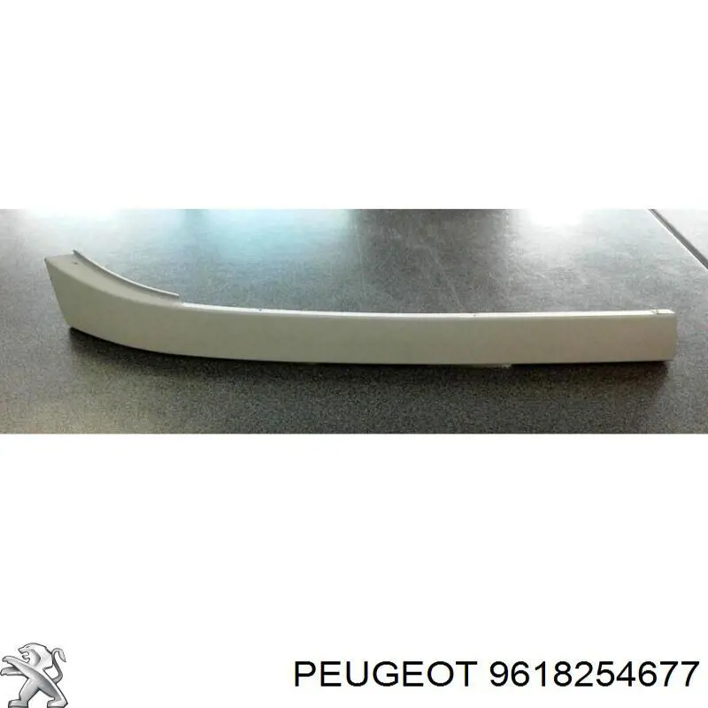 9618254677 Peugeot/Citroen Brewka lampy lewej