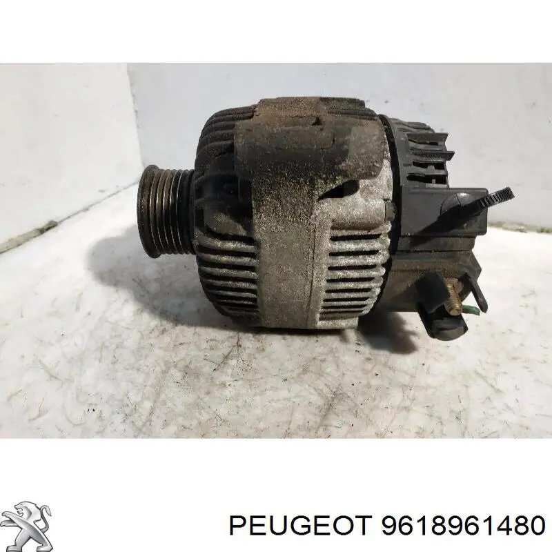 Do koszyka 9618961480 Peugeot/Citroen Alternator
