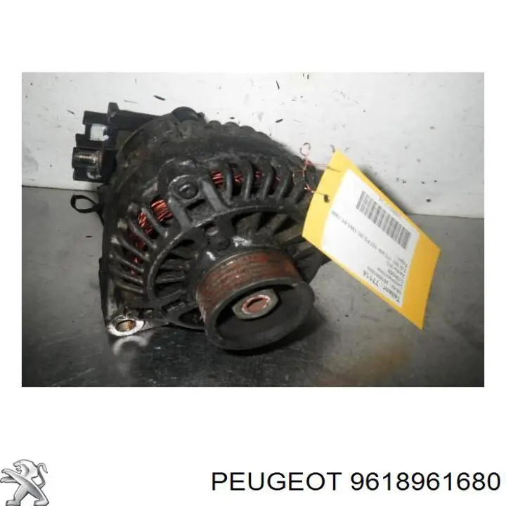 Do koszyka 9618961680 Peugeot/Citroen Alternator
