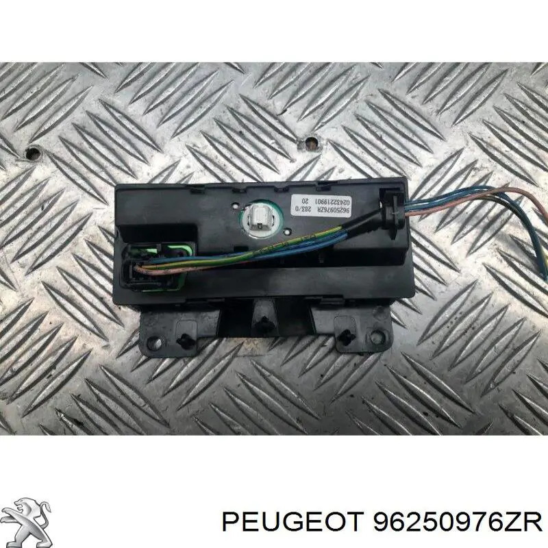96250976ZR Peugeot/Citroen 
