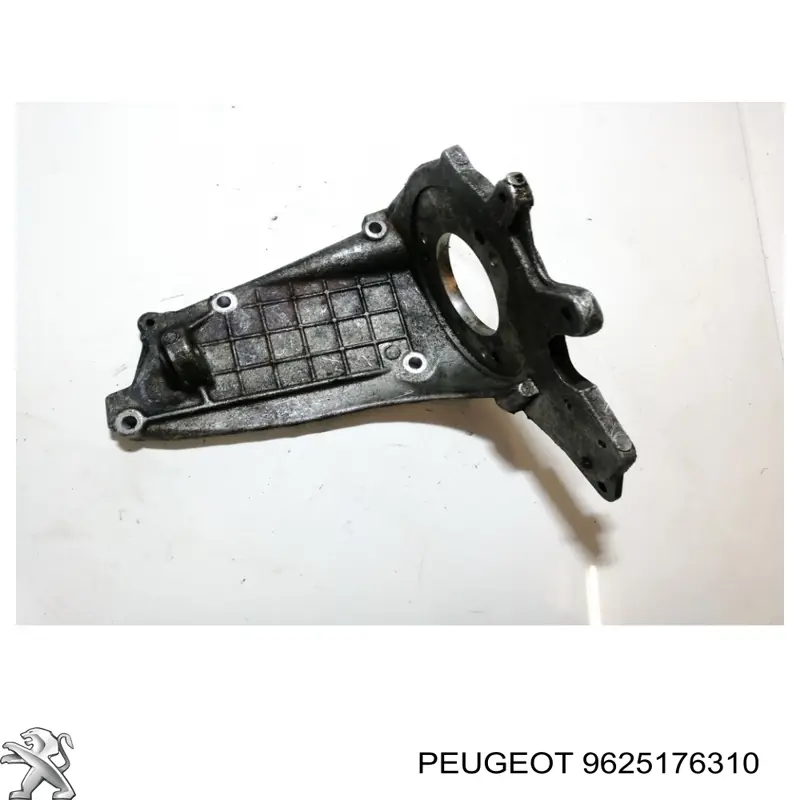 9625176310 Peugeot/Citroen 