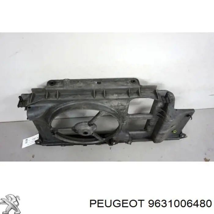 9631006480 Peugeot/Citroen Osłona chłodnicy kompletna (panel mocowania reflektorów)