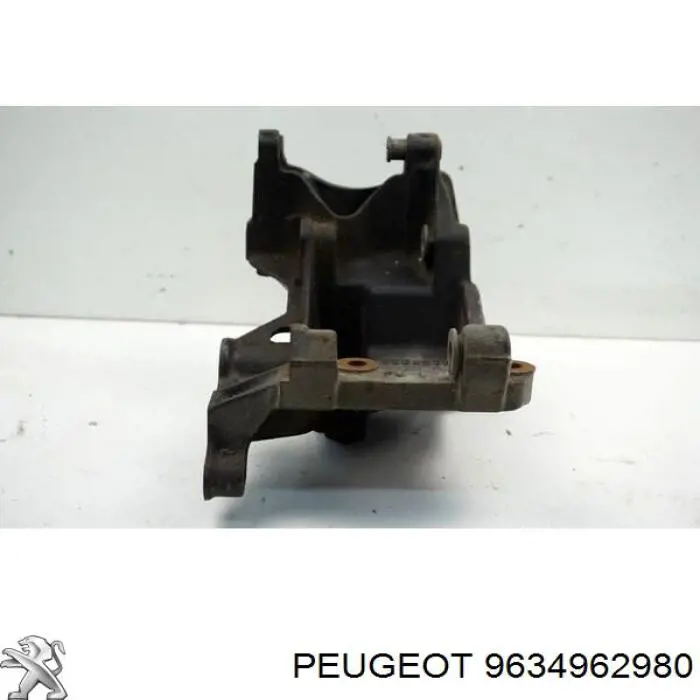  9634962980 Peugeot/Citroen