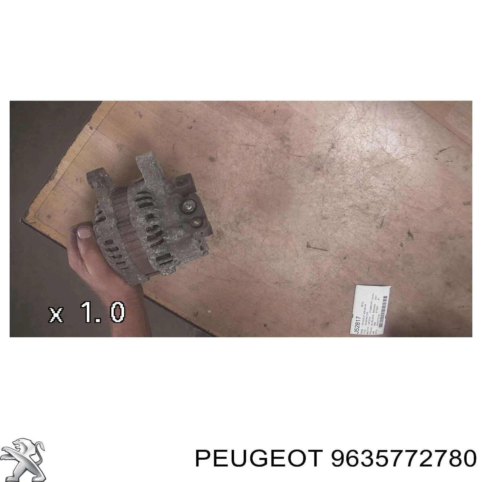 Do koszyka 9635772780 Peugeot/Citroen Alternator