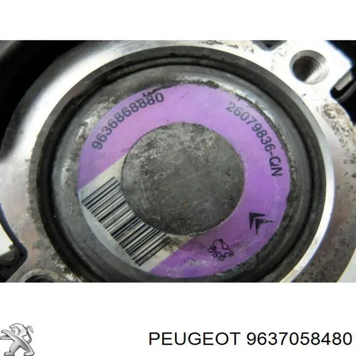 Do koszyka 9637058480 Peugeot/Citroen 