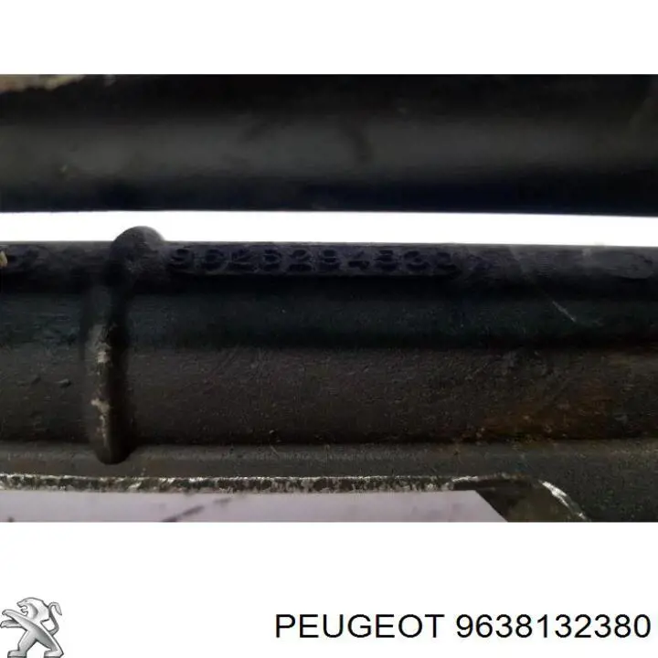  Peugeot/Citroen 9638132380 cena, od 83,43 USD
