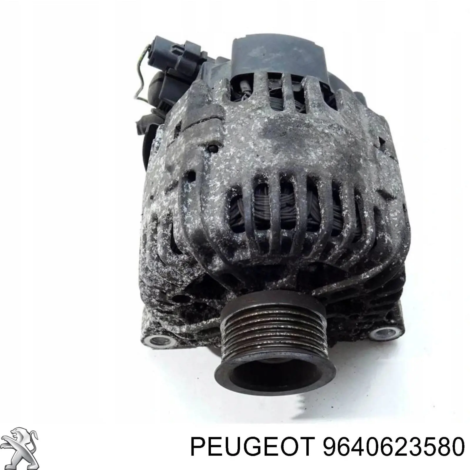Do koszyka 9640623580 Peugeot/Citroen Alternator