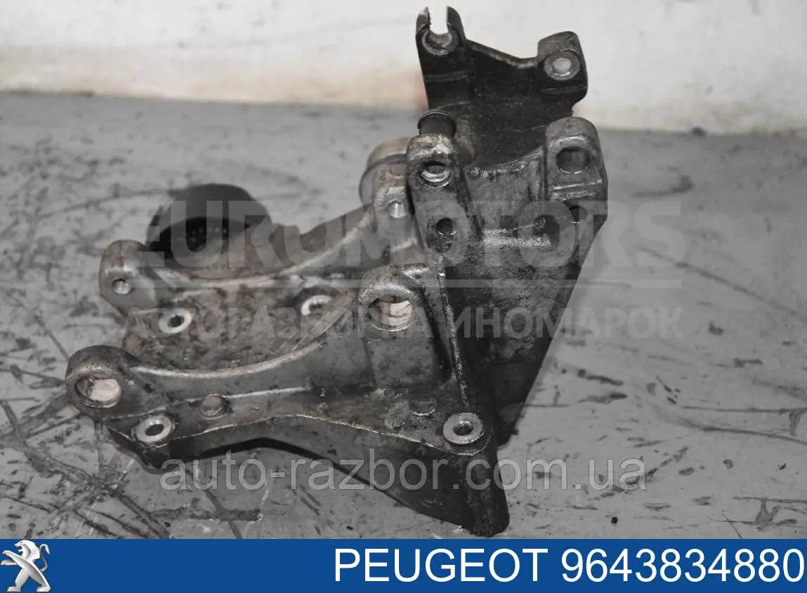 9643834880 Peugeot/Citroen wspornik alternatora