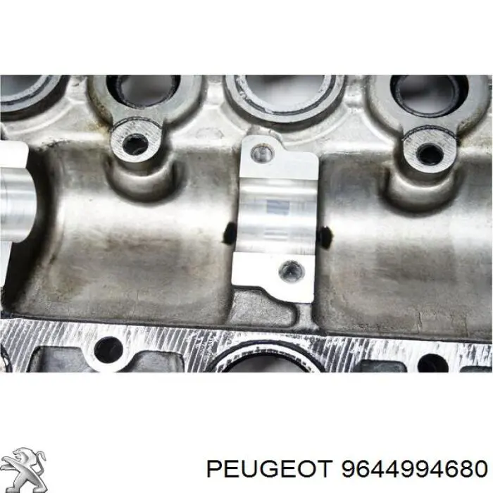  Obudowa wałka rozrządu Citroen C3 1