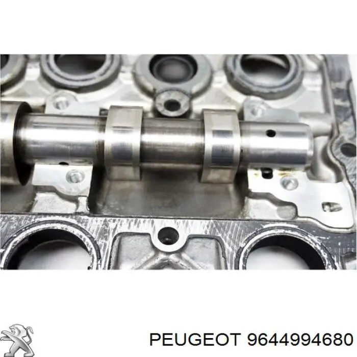 Obudowa wałka rozrządu do Citroen C3 I FC