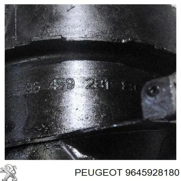 Do koszyka 9645928180 Peugeot/Citroen Obudowa filtra paliwa