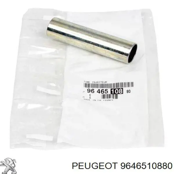 9646510880 Peugeot/Citroen Zestaw naprawczy wtryskiwacza