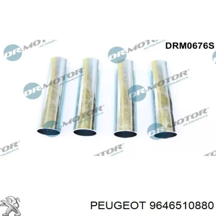 Do koszyka 9646510880 Peugeot/Citroen Zestaw naprawczy wtryskiwacza