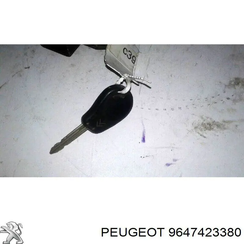 Sterownik silnika do Peugeot 307  3A, 3C