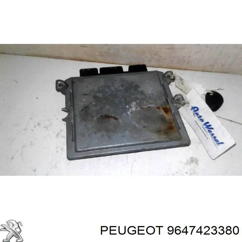 Do koszyka Sterownik silnika Peugeot 307  3A, 3C
