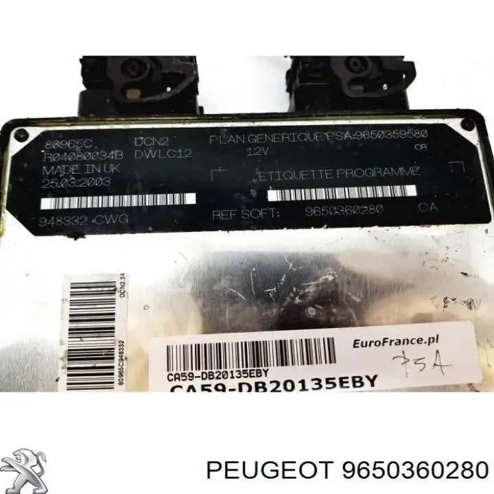 Sterownik silnika Peugeot 306 