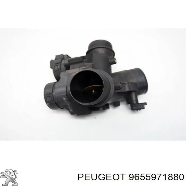 Do koszyka 9655971880 Peugeot/Citroen Przepustnica, komplet