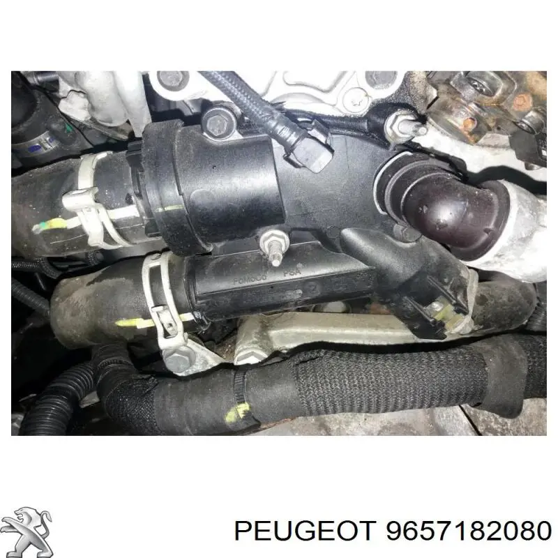 Obudowa termostatu Peugeot/Citroen 9657182080 cena, od 46,52 USD