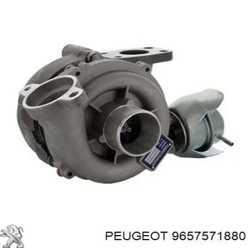 9657571880 Peugeot/Citroen Turbina
