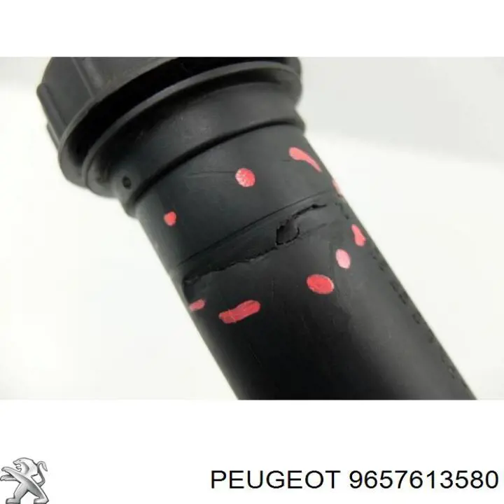 Pompa wspomagania hydraulicznego kierownicy Peugeot/Citroen 9657613580 cena, od 81,72 USD