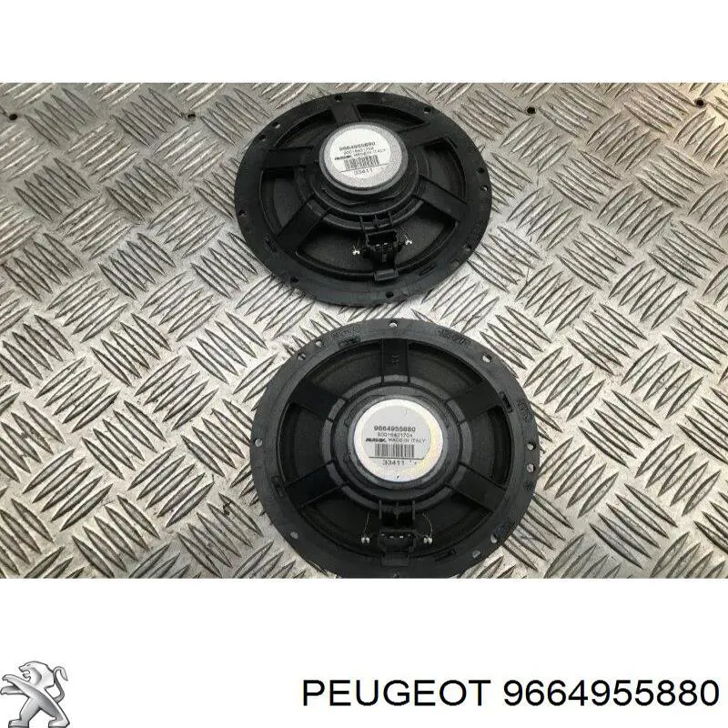 9664955880 Peugeot/Citroen 