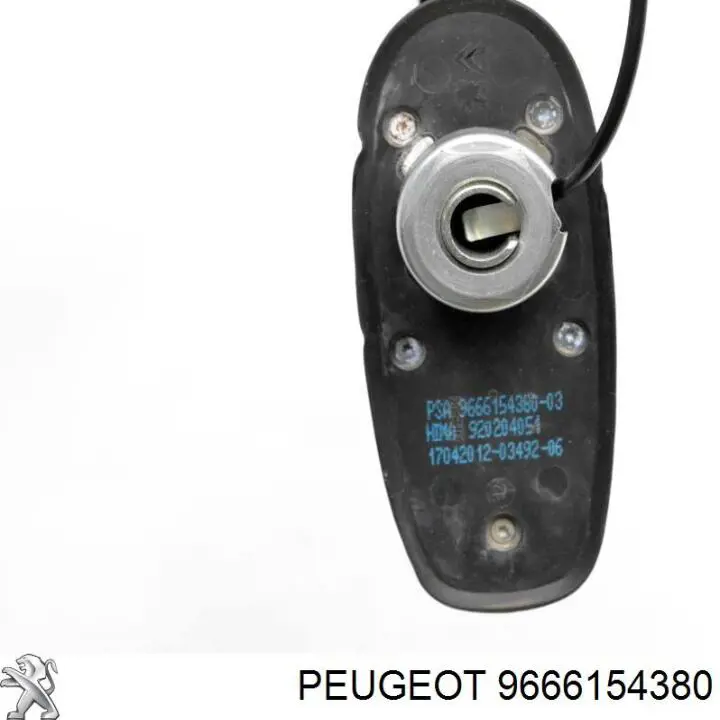 9666154380 Peugeot/Citroen 