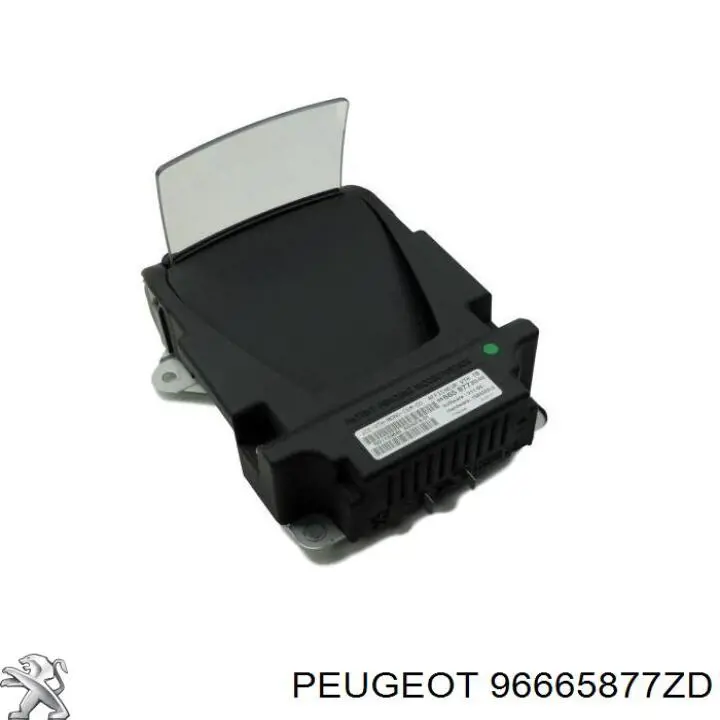 96665877ZD Peugeot/Citroen 