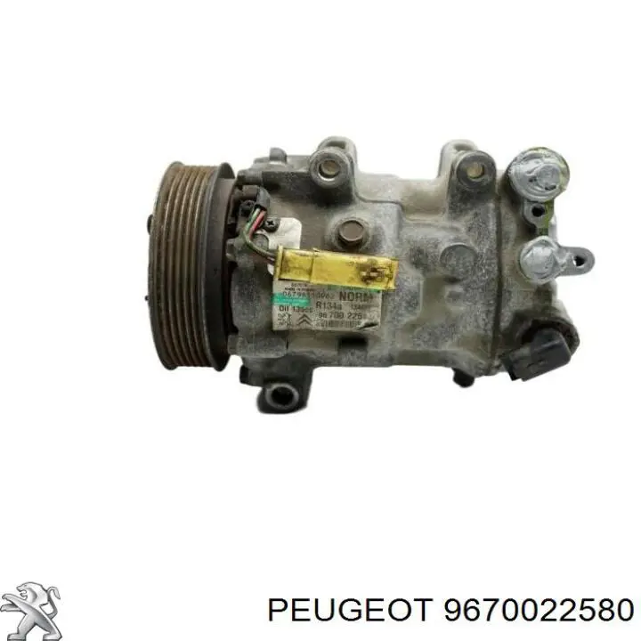 Sprężarka klimatyzacji Peugeot/Citroen 9670022580 cena, od 188,98 USD