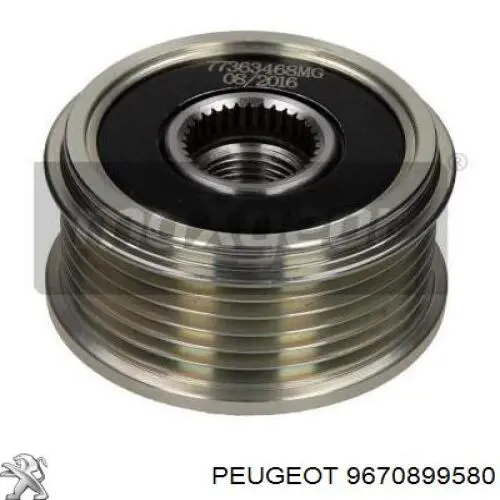 Do koszyka 9670899580 Peugeot/Citroen Alternator