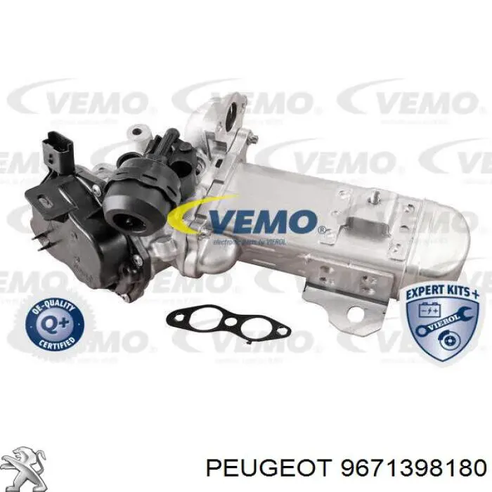 Do koszyka 9671398180 Peugeot/Citroen Zawór recyrkulacji spalin EGR