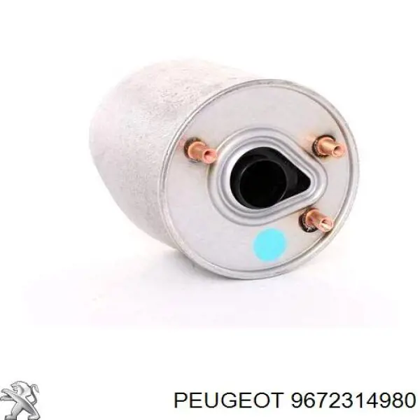 Do koszyka 9672314980 Peugeot/Citroen Obudowa filtra paliwa
