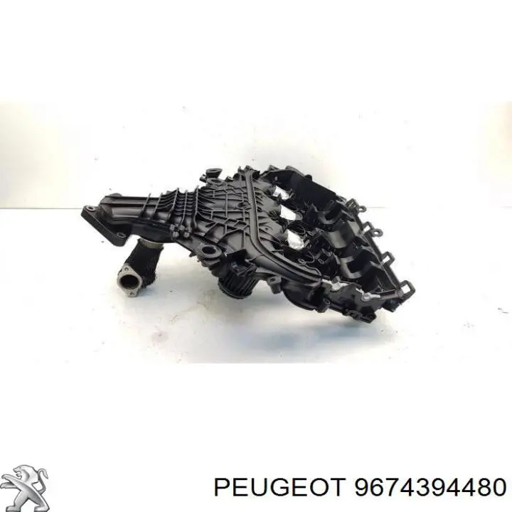 Kolektor ssący Fiat Scudo minivan (270) (2007 - 2026) cena, od 49,25 USD