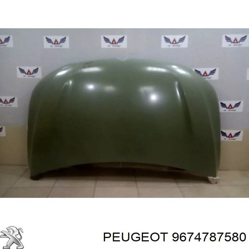 Maska silnika Peugeot/Citroen 9674787580 cena, od 288,66 USD