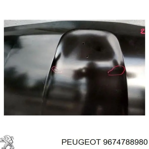 Maska silnika Peugeot/Citroen 9674788980 cena, od 223,52 USD