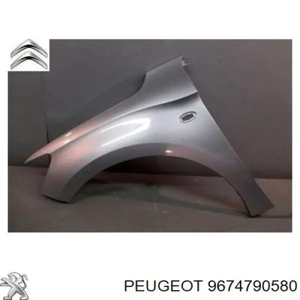 9674790580 Peugeot/Citroen Błotnik przedni lewy