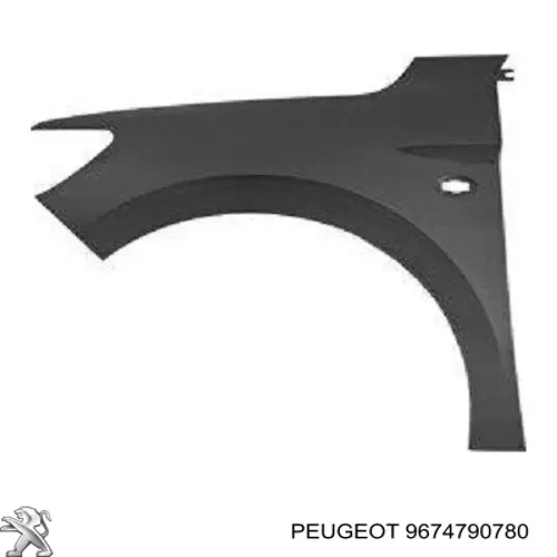 9674790780 Peugeot/Citroen Błotnik przedni lewy